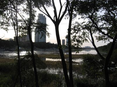 Reserve naturelle aux pieds de Buenos Aires